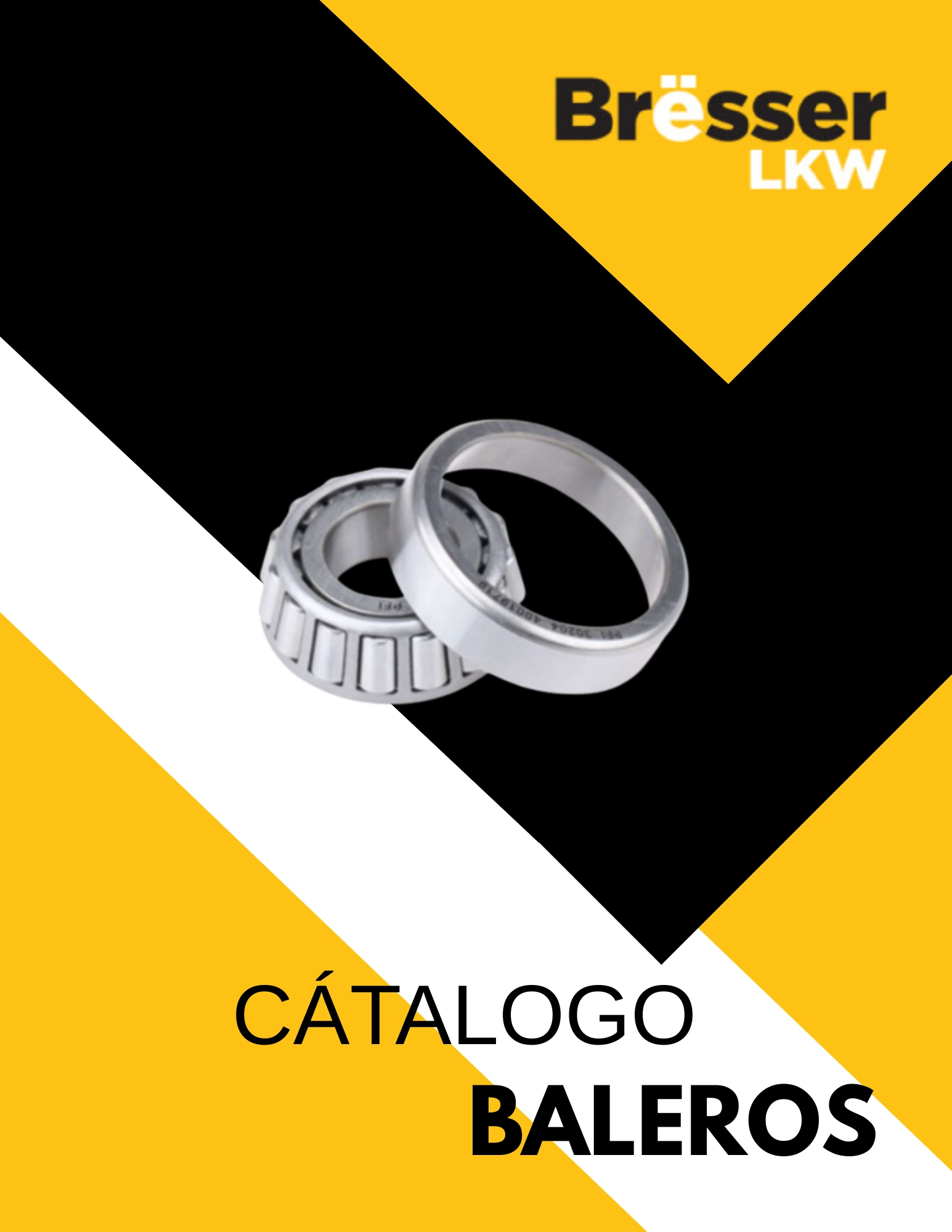 Catálogo Bresser LKW de baleros — Tractopartes DERMAT
